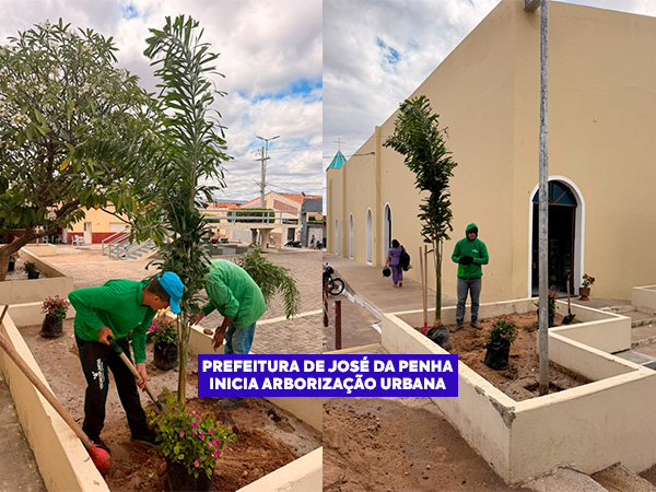 Prefeitura de José da Penha inicia arborização urbana pela Praça da Paz.